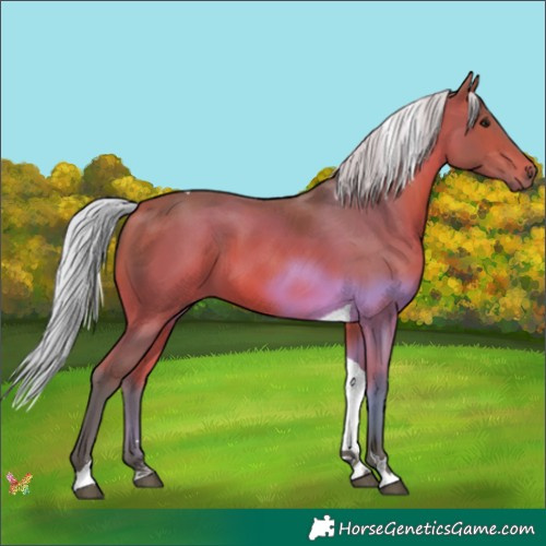 Horse Color:Watercolor Silver Bay Tobiano 