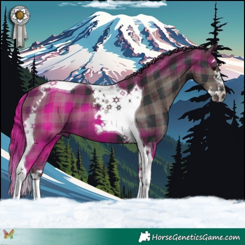 Horse Color:Plaid  Black Splash Tobiano 