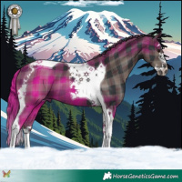 Horse Color:Plaid Black Splash Tobiano