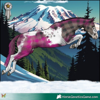 Horse Color:Plaid  Black Splash Tobiano 