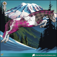 Horse Color:Plaid  Black Splash Tobiano 