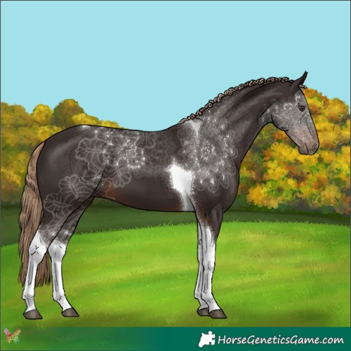 Horse Color:Liver Chestnut Tobiano