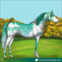 Horse Color:Watercolor Bay Splash Tobiano 