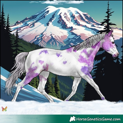 Horse Color:Watercolor Silver Brown Sabino Splash Tobiano Frame 