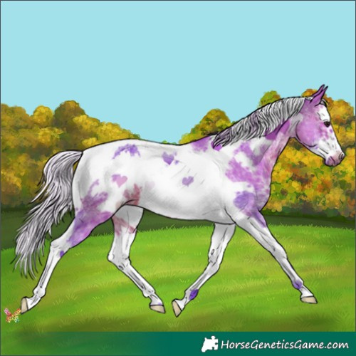Horse Color:Watercolor Silver Brown Sabino Splash Tobiano Frame 