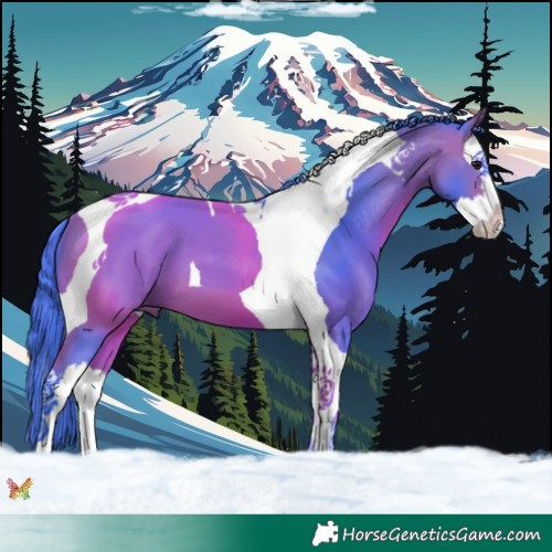 Horse Color:Watercolor Bay Splash Tobiano 