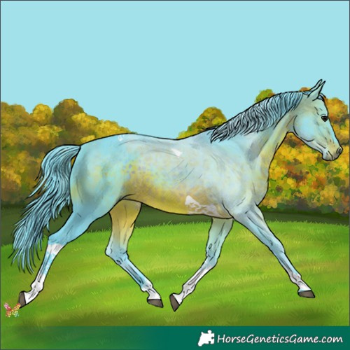Horse Color:Watercolor Brown Tobiano 