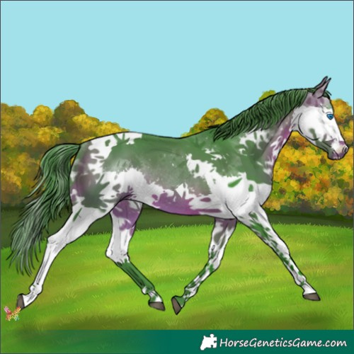 Horse Color:Watercolor Bay Splash Tobiano Rabicano