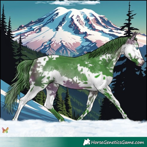 Horse Color:Watercolor Bay Splash Tobiano Rabicano 