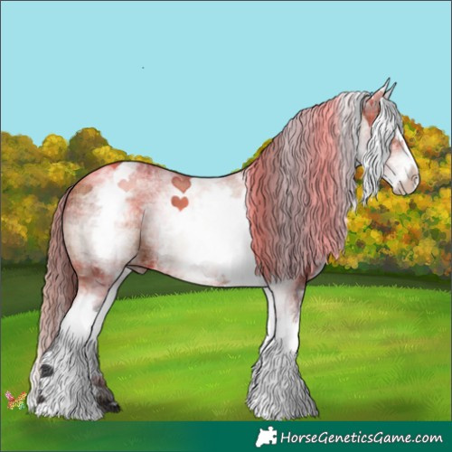 Horse Color:Plaid  White Spotted Brown Splash Rabicano 