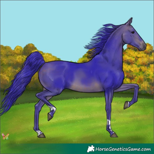 Horse Color:Watercolor Brown Tobiano 