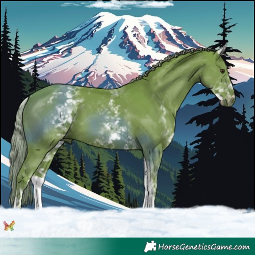 Horse Color:Watercolor White Spotted Liver Chestnut 