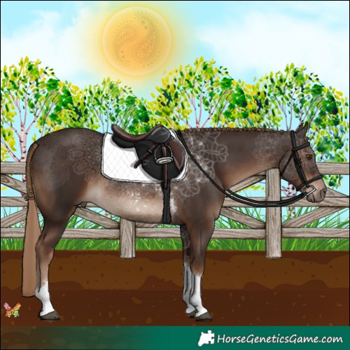 Horse Color:Liver Chestnut Tobiano 