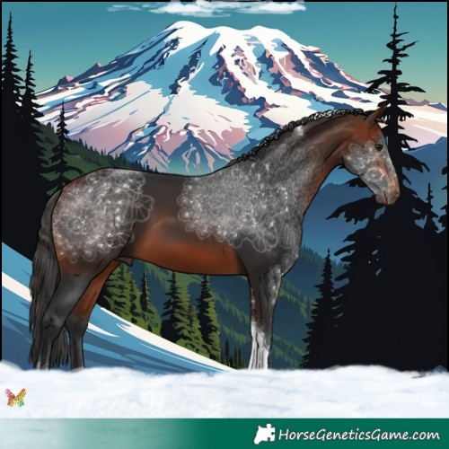 Horse Color:Bay Tobiano 
