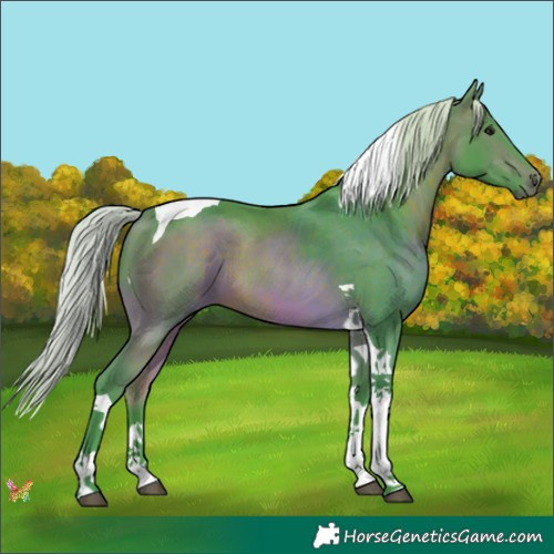 Horse Color:Watercolor Silver Bay Tobiano 