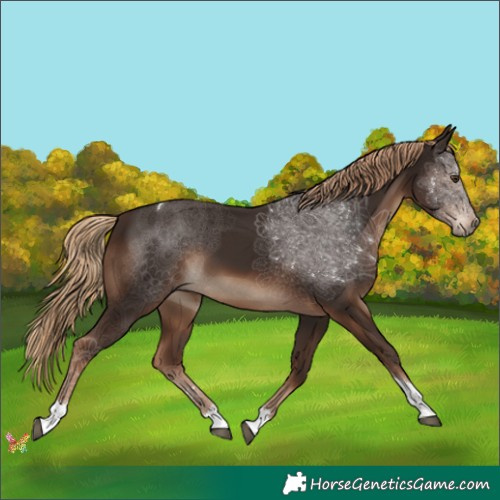 Horse Color:Liver Chestnut Tobiano 