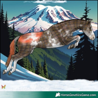 Horse Color:Plaid  White Spotted Liver Chestnut Splash 
