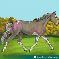 Horse Color:Watercolor Silver Black Splash Tobiano 