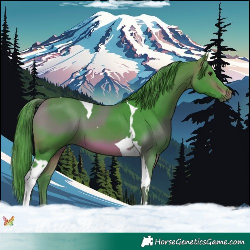 Horse Color:Watercolor Brown Tobiano 