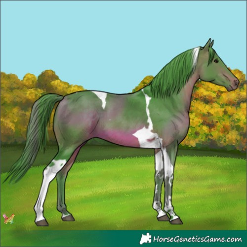 Horse Color:Watercolor Brown Tobiano 