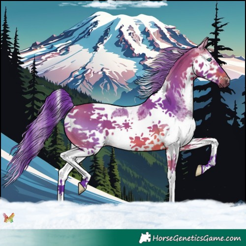 Horse Color:Watercolor Bay Splash Tobiano Frame 