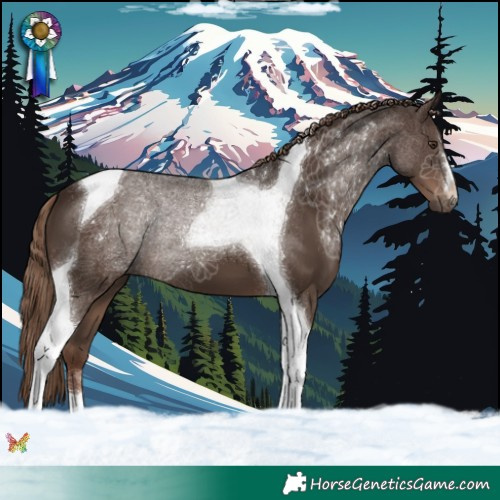 Horse Color:Liver Chestnut Tobiano 