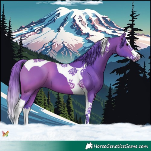 Horse Color:Watercolor Bay Splash Tobiano 