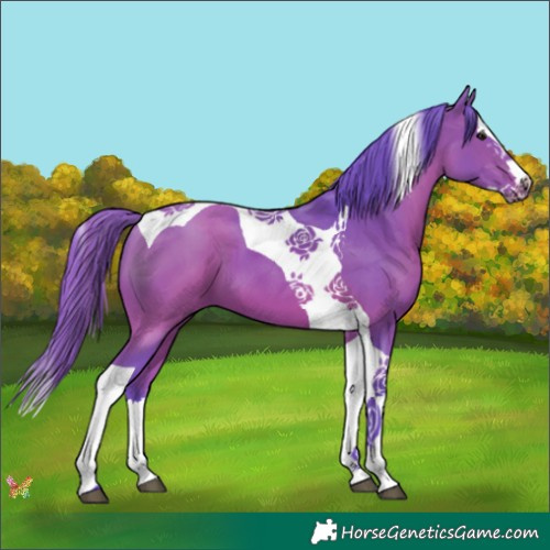 Horse Color:Watercolor Bay Splash Tobiano 