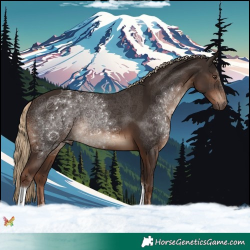 Horse Color:Liver Chestnut Tobiano 