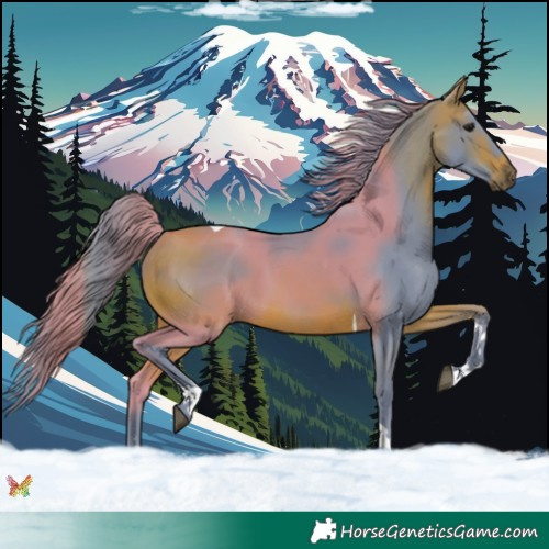 Horse Color:Watercolor Bay Tobiano 