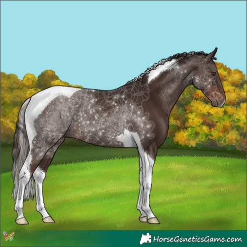 Horse Color:Liver Chestnut Tobiano 