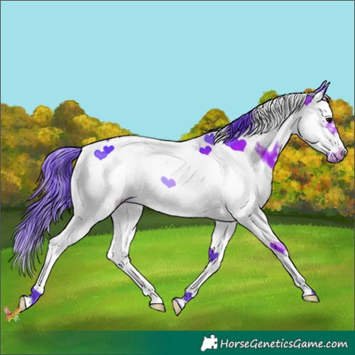 Horse Color:Watercolor Black Splash Tobiano Frame 