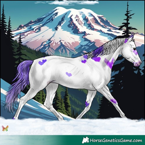 Horse Color:Watercolor Black Splash Tobiano Frame 