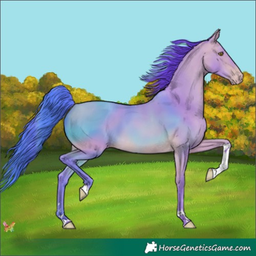 Horse Color:Watercolor Amber Champagne Tobiano 