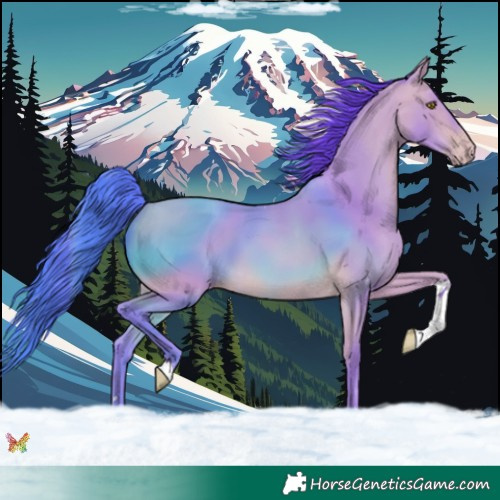 Horse Color:Watercolor Amber Champagne Tobiano 