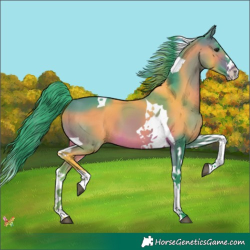 Horse Color:Watercolor Brown Splash Tobiano 