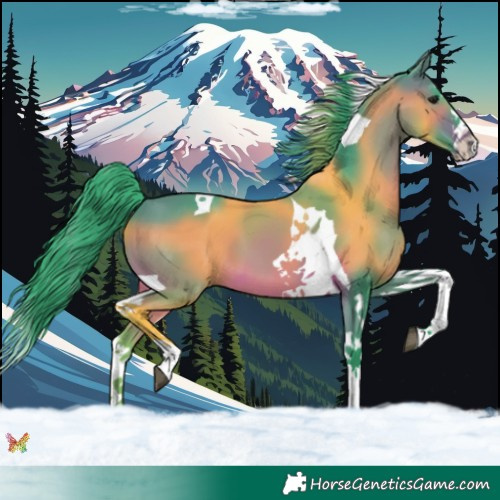 Horse Color:Watercolor Brown Splash Tobiano 