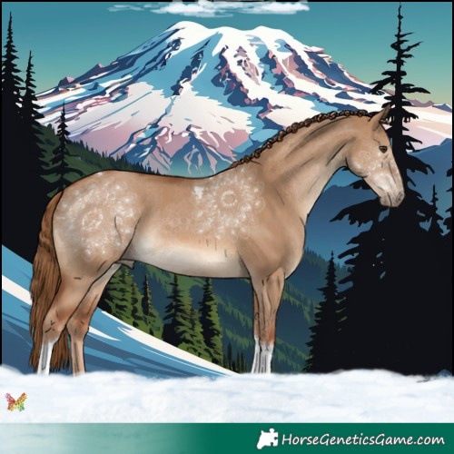 Horse Color:Red Dun Tobiano 