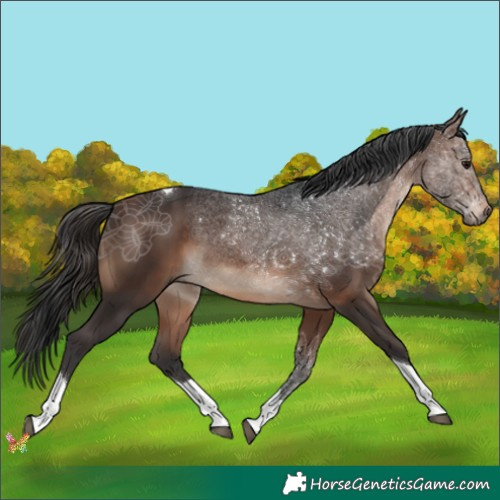 Horse Color:Brown Tobiano 