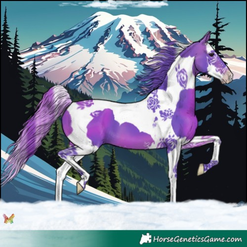 Horse Color:Watercolor Bay Splash Tobiano 