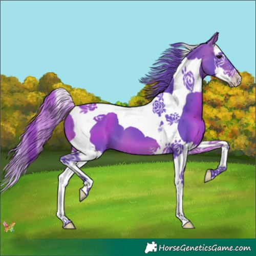 Horse Color:Watercolor Bay Splash Tobiano 