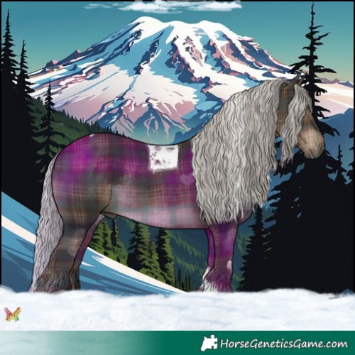 Horse Color:Plaid  Silver Brown Tobiano Rabicano 