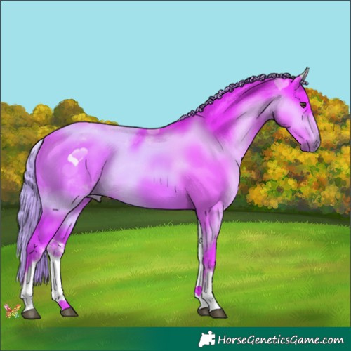 Horse Color:Watercolor White Spotted Liver Chestnut 
