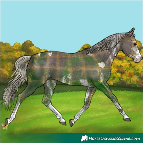 Horse Color:Plaid  White Spotted Silver Smoky Black Tobiano 