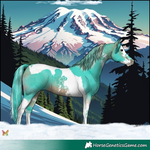 Horse Color:Watercolor Bay Sabino Splash Tobiano 