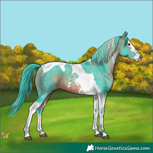 Horse Color:Watercolor Bay Sabino Splash Tobiano 