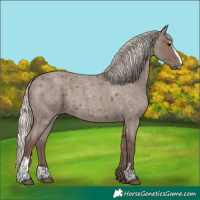 Horse Color:Unknown 