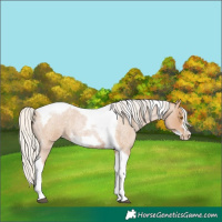 Horse Color:Silver Blue Roan Pearl Tobiano Frame 
