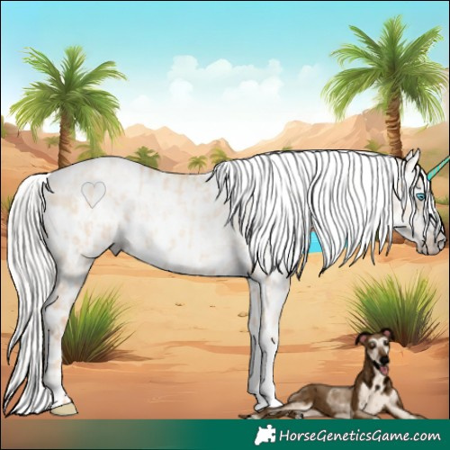 Horse Color:Silver Amber Champagne Pearl Dun Tobiano Near Leopard Rabicano  and Gray Silver Amber Champagne Pearl Dun Tobiano Near Leopard Rabicano 