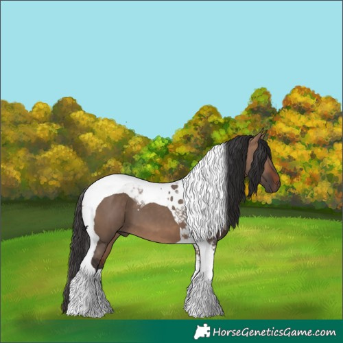 Horse Color:Bay Dun Tobiano 